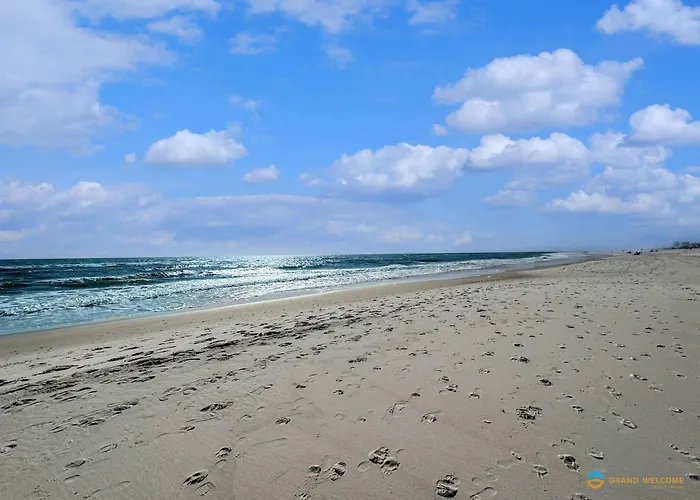 Beachfront Corner With Pool Access & Free Activities Holiday home Gulf Shores
